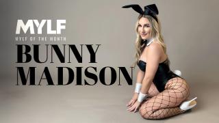 Bunny Madison - Everyones Favorite Bunny